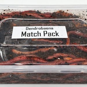 Dendrobaenas Match Pack 250g