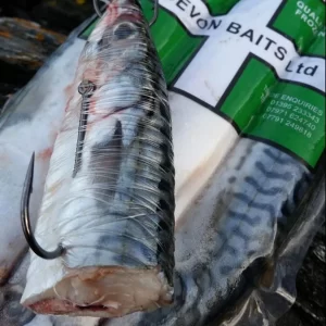 Devon Baits Frozen Whole Mackerel