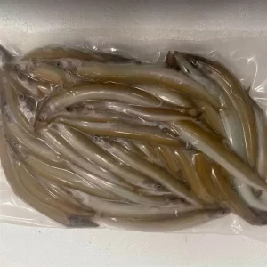 Devon Bait Bulk Frozen Sandeels