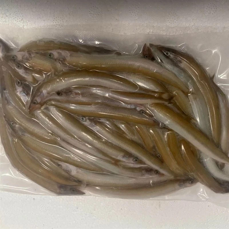 Devon Bait Bulk Frozen Sandeels