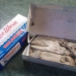 Frozen Squid 1lb Box