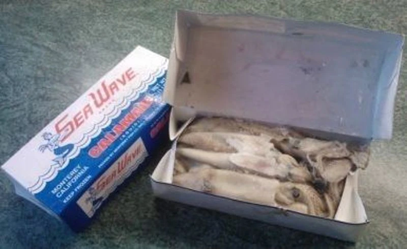 Frozen Squid 1lb Box