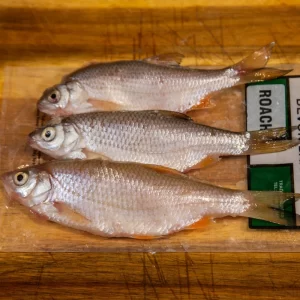 Devon Baits Frozen Roach (3 per Pack)