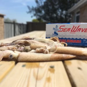 Frozen Squid 1lb Box